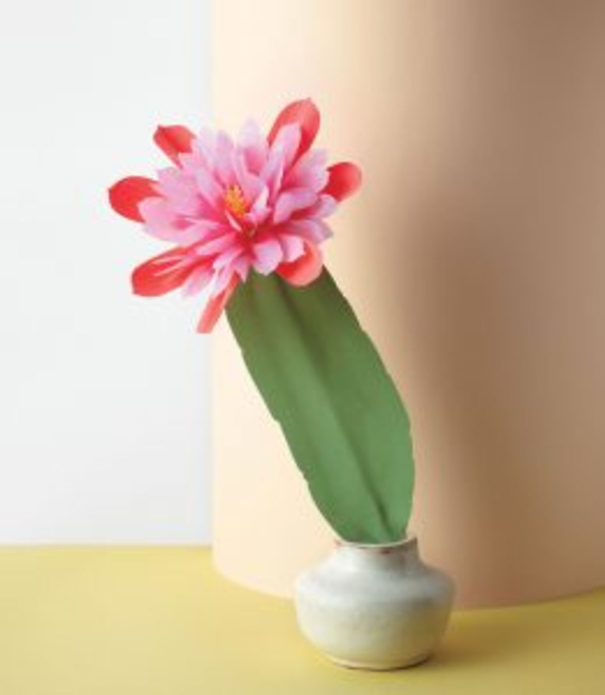 MLDI311 cactus fleurs en papier DIY