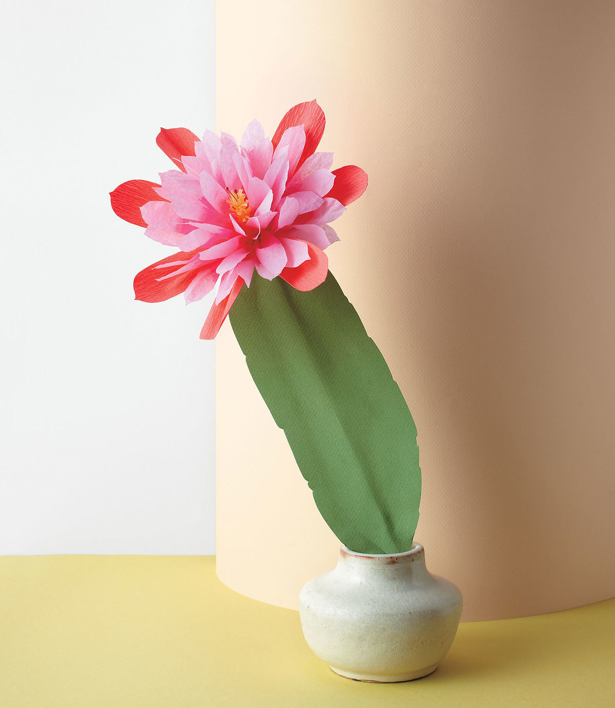 MLDI311 cactus fleurs en papier DIY