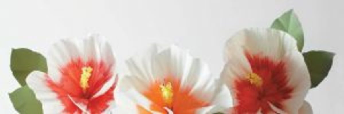 hibiscus fleurs en papier DIY