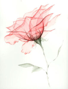 peindre des fleurs à l'aquarelle en transparence